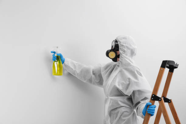 Environmental Consulting for Mold Prevention