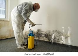 Why You Should Choose Our Mold Remediation Services in Huntington Bay, NY